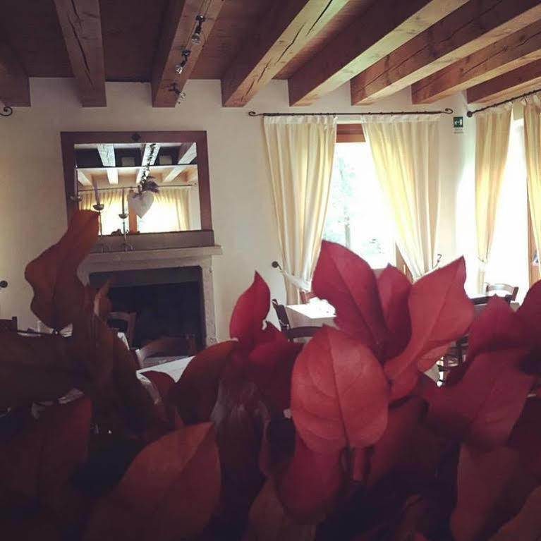 Hotel Villa Dei Carpini Oderzo Ngoại thất bức ảnh